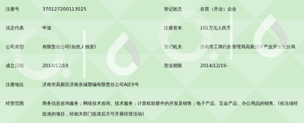 济南蚂蚁金服信息咨询有限公司 信息服务咨询的专业实践与价值解读